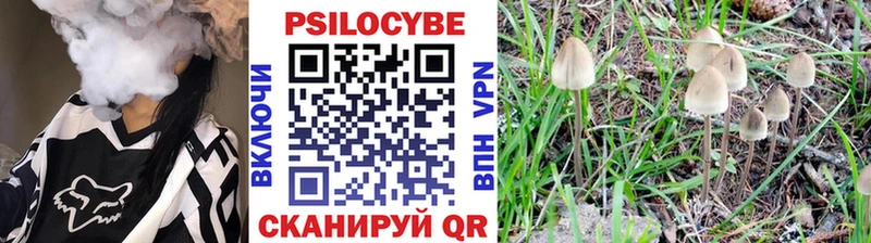 Галлюциногенные грибы Psilocybine cubensis  Купить закладки  Анива 